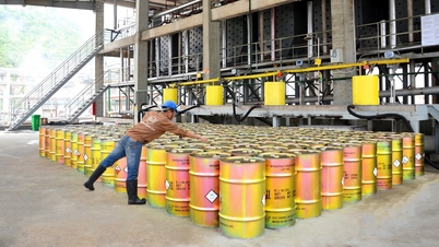 Akcie Duc Giang Chemicals nečekaně klesly na minimální cenu; jaká je obchodní situace?