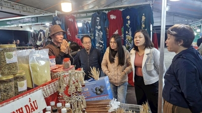 ហាណូយ៖ ការអនុវត្តបញ្ញាសិប្បនិម្មិត (AI) និងទិន្នន័យឌីជីថល ដើម្បីការពារសិទ្ធិអ្នកប្រើប្រាស់។