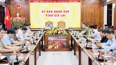 El Comité Directivo Nacional de Lucha contra la Pesca INDNR celebró su 26ª reunión.