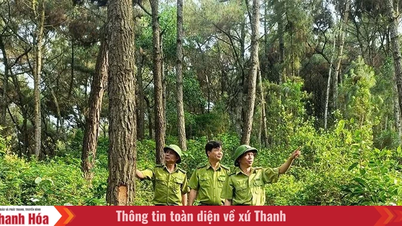 Ha Trung Forest Ranger Station strävar efter att skydda skogen.