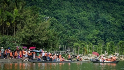 Ninh Binh: Pozorování ptáků z lodi při západu slunce v Thung Nham