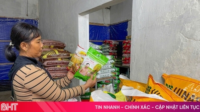 Ha Tinh memperketat pengelolaan pasokan benih padi.
