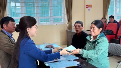 Farmers' Association work and movement in 2025: Innovation and integration into the digital age.