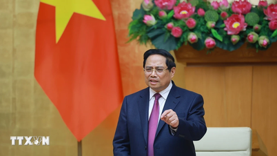 «លេខាធិការបក្ស និងប្រធានគណៈកម្មាធិការប្រជាជន ត្រូវតែទទួលខុសត្រូវនៅពេលដែលការនេសាទខុសច្បាប់ និងខុសច្បាប់កើតឡើង»។