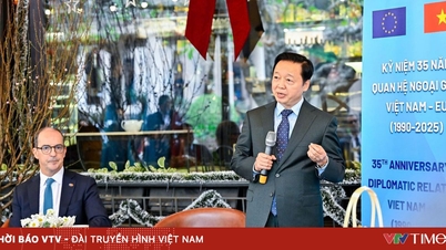 Wakil Perdana Menteri Tran Hong Ha dengan ramah menerima para Duta Besar dan Kuasa Usaha Uni Eropa di Vietnam.