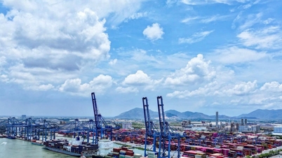 Ho Či Minovo Město prosazuje zavedení zóny volného obchodu Cai Mep Ha.