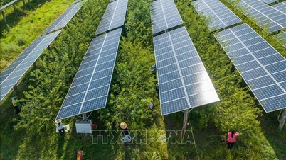 Gazdaság 2025-ben, előrejelzés 2026-ra: Tiszta energia - visszafordíthatatlan trend.