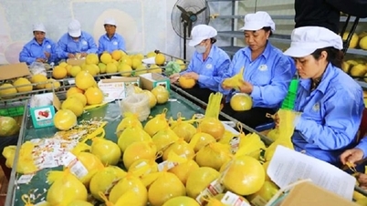 Quality management of agricultural, forestry, and aquatic products - the foundation for enhancing the competitiveness of the agricultural sector.