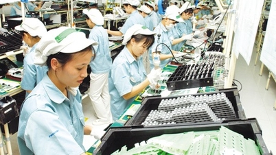外国直接投資（FDI）の誘致：大規模資本から質の高い投資への重点の移行。