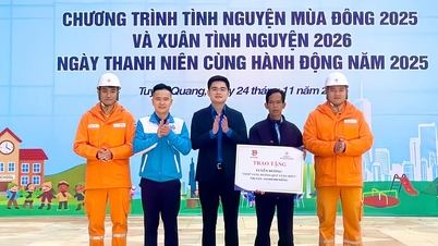 ថាមពលយុវវ័យរបស់ "អ្នកស្ម័គ្រចិត្តរដូវរងា-រដូវផ្ការីក"