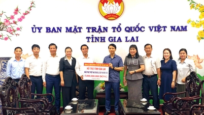 Bac Ninh province has donated 5 billion VND to Gia Lai province to help overcome the consequences of natural disasters.