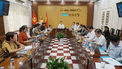 Tăng tốc chỉnh trang, đảm bảo hạ tầng cho Festival Hoa, Kiểng Sa Đéc 2025