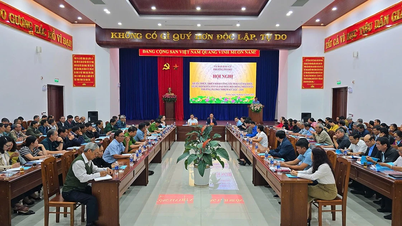 សង្កាត់ទាំងពីរគឺ Pleiku និង Thong Nhat កំពុងអនុវត្តនីតិវិធីបោះឆ្នោតសម្រាប់អាណត្តិ ២០២៦-២០៣១។