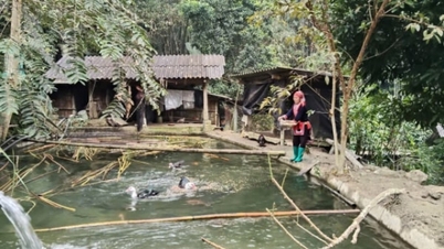 ນາງ ເຄ ໄດ້ສ້າງໜອງນ້ຳສອງຊັ້ນຢູ່ເທິງພູ.