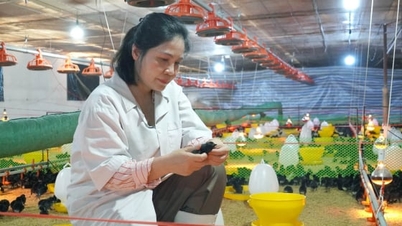 ປະຕິບັດມາດຕະການຄວາມປອດໄພທາງຊີວະພາບໃນຟາມສັດປີກລະຫວ່າງວົງຈອນການປັບປຸງພັນ.