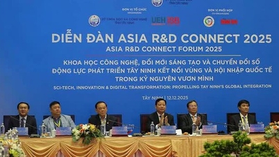 Tay Ninh stanoví tři strategické výzvy pro vytvoření digitálního ekosystému.