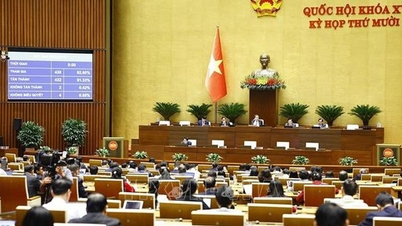 „Připravujeme cestu“ pro oceňování, nákup, prodej a zastavování duševního vlastnictví.