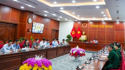 Chính phủ họp trực tuyến lần thứ 26 đánh giá tình hình thực hiện công tác chống khai thác IUU