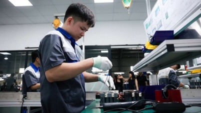 베트남의 국내총생산(GDP) 성장률은 2025년에 8%를 넘어설 것으로 예상되며, 이는 베트남을 세계에서 가장 빠르게 성장하는 경제국 중 하나로 자리매김하게 할 것이다.