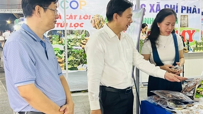 Ca Mau uplatňuje digitální transformaci při propagaci a prodeji produktů OCOP.