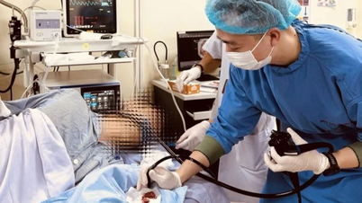 フレキシブル内視鏡技術を適用することで、患者の食道の大きな腫瘍を無事に除去することができました。