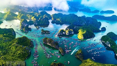 Celebrando el día en que la bahía de Ha Long fue inscrita como Patrimonio Natural de la Humanidad por la UNESCO.