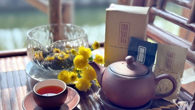 Rejuvenating the value of Vietnamese tea.