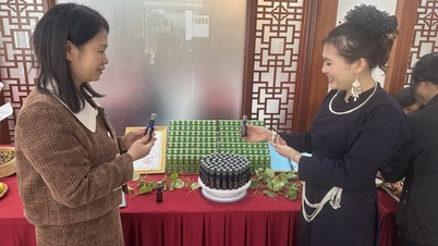 Založení firmy s využitím místních zdrojů