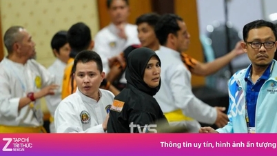 동남아시아 경기대회(SEA Games) 펜칵 실랏 경기가 심판 판정 논란으로 혼란에 빠졌다.