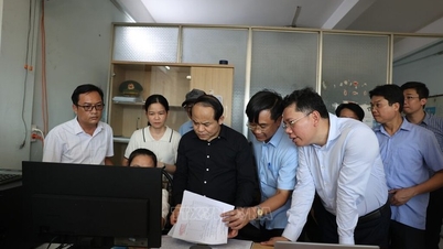 Meninjau dan memeriksa upaya pemberantasan penangkapan ikan ilegal, tidak dilaporkan, dan tidak diatur (IUU) di Kota Ho Chi Minh.