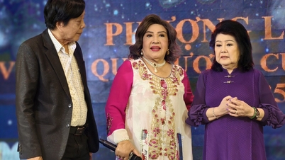 Kunstneren Phuong Lien besøker hjembyen sin.