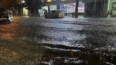 In Central Vietnam and the Central Highlands, some areas experienced heavy rainfall exceeding 60 mm.