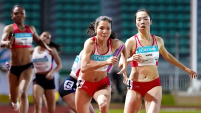 Vietnam sporları, 33. Güneydoğu Asya Oyunları'nda pek parlak bir performans sergileyemedi.