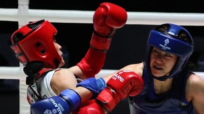 Geconfronteerd met flagrante oneerlijke behandeling tijdens de SEA Games 33, besloot de Vietnamese coach en vechtsporter zich terug te trekken uit de competitie.