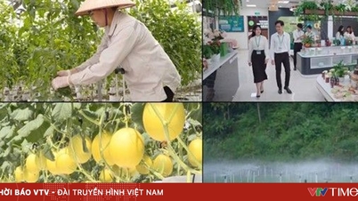 เกษตรกรรมดิจิทัลเป็นสิ่งจำเป็นอย่างยิ่งในยุคอุตสาหกรรม 4.0