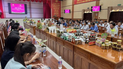 Đồng Tháp: Kết nối cung - cầu nông sản khu vực phía Nam sông Tiền năm 2025