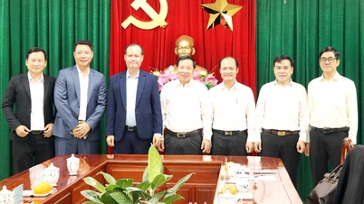 Viet Sin Energy Group Joint Stock Company está explorando oportunidades de inversión en Dong Nai.