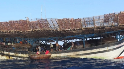 เรือประมงจากเมืองดานังซึ่งบรรทุกลูกเรือ 55 คน เกิดไฟไหม้และจมลงกลางทะเล ขณะนี้มีเรือหลายลำกำลังปฏิบัติการช่วยเหลืออยู่