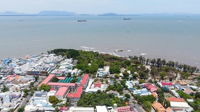 Ciudad Ho Chi Minh aprueba la creación de un consejo de evaluación para el proyecto del puente marítimo y la carretera Can Gio - Vung Tau.