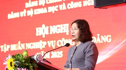 Party Committee of the Ministry of Science and Technology: Innovating Party work practices, enhancing the role of inspection, supervision, and discipline.