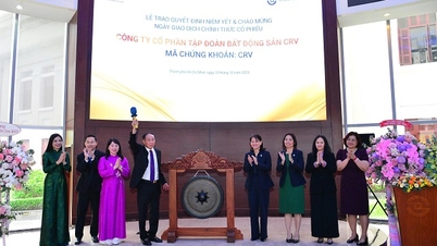 หุ้น CRV กว่า 672 ล้านหุ้นได้รับการจดทะเบียนอย่างเป็นทางการในตลาดหลักทรัพย์ HOSE