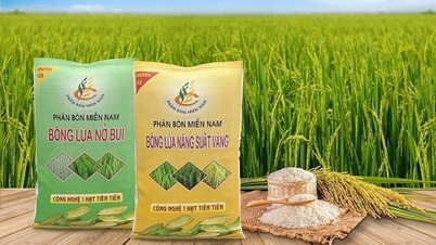 Southern Fertilizer: Ένας αξιόπιστος κατασκευαστής λιπασμάτων.