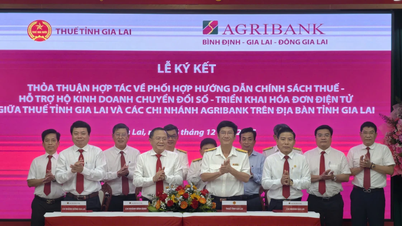 Gia Lai Provincial Tax Department and Agribank branches cooperate to support business households in digital transformation.