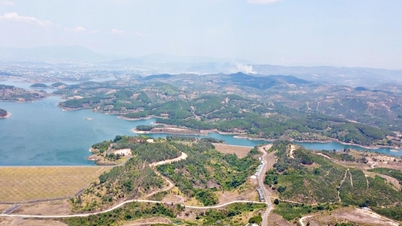 De provincie Lam Dong heeft meer dan 1.400 hectare land teruggewonnen van het Dai Ninh-project.
