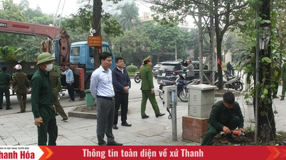 Hac Thanh-avdelningen inspekterar återställandet av stadsordning, allmän ordning och miljösanering.