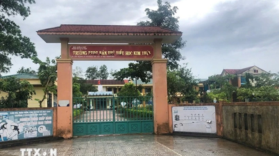 Vụ học sinh ngộ độc ở Quảng Trị: Trường học bị phạt 196,5 triệu đồng