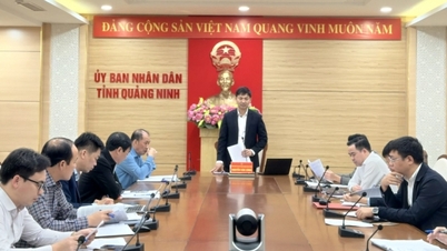 Tập trung phát triển nuôi biển bền vững