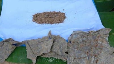 Fem levninger av falne soldater ble gravd opp i Laos og Kambodsja.
