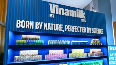 Het stappenplan van Vinamilk om het suikergehalte in haar producten geleidelijk te verlagen.