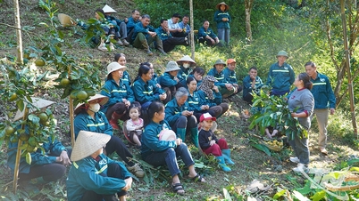 Building self-reliance paves the way for sustainable development.